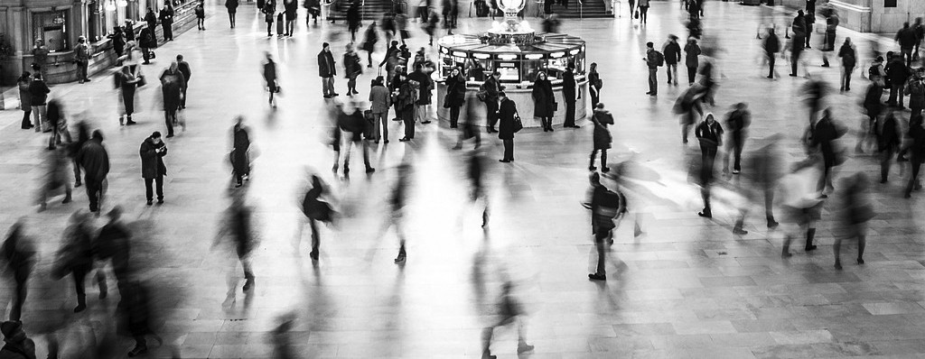 Campos Paradigmáticos